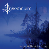 Black Waters - Insomnium